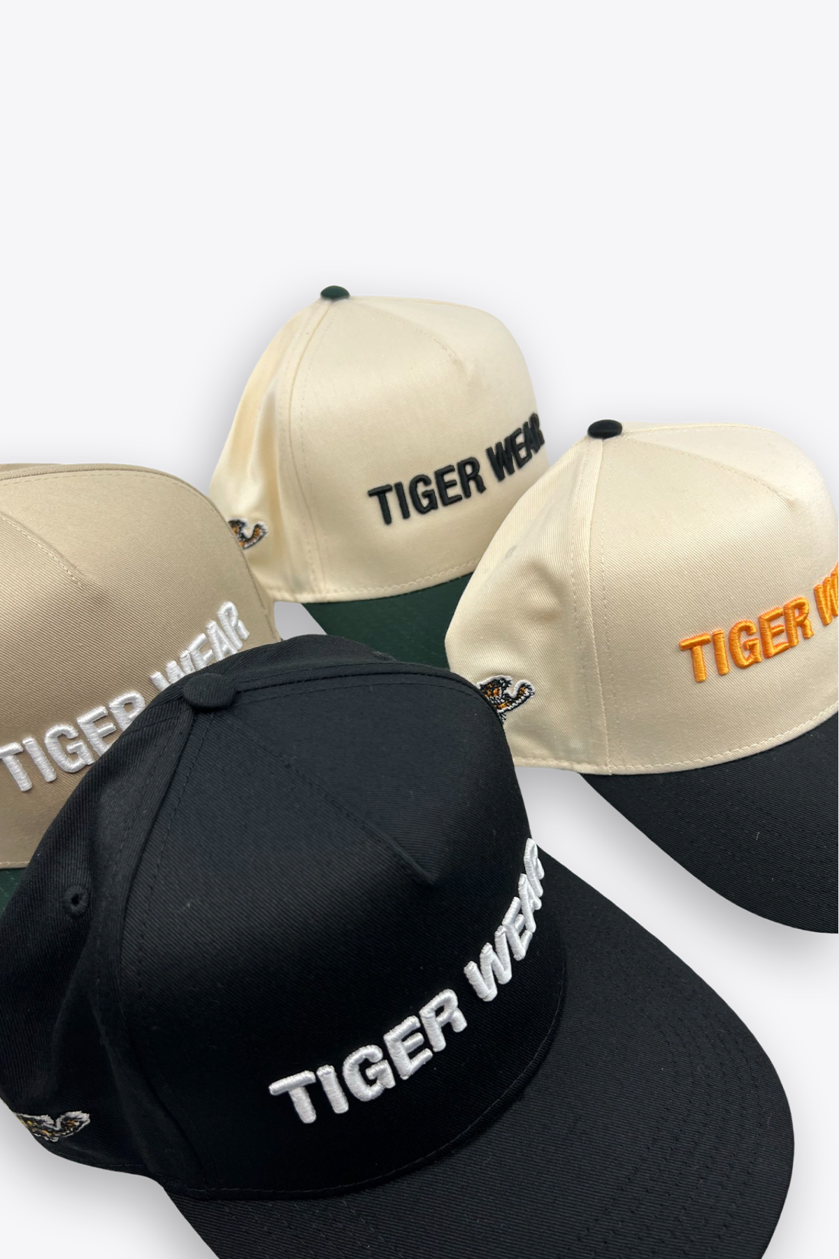 THE STANDARD SNAPBACK Tigerwearco